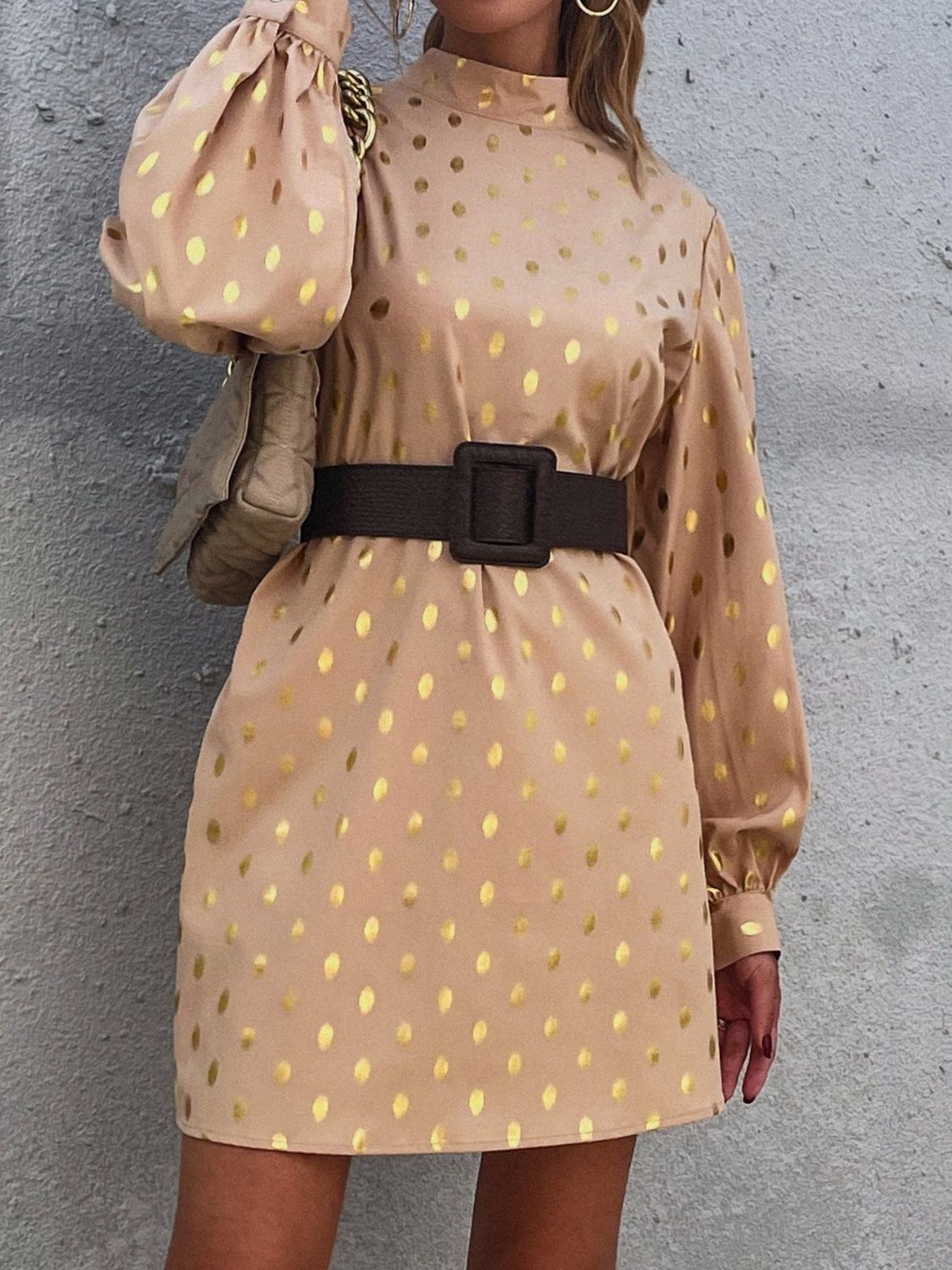 Printed Mock Neck Long Sleeve Mini Dress 05dbb20c-8e1d-4003-9536-22d2b3f04466-Max Glownestbest