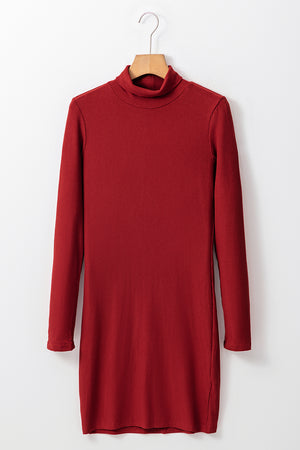 Ribbed Mock Neck Long Sleeve Mini Dress 7c8628da93944b9d80ae415ebe042991-Max Glownestbest