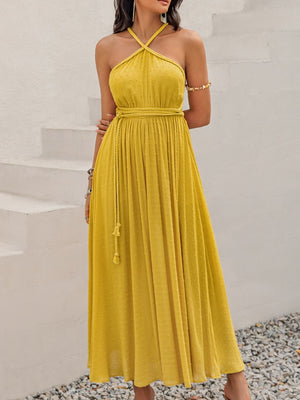 Swiss Dot Backless Sleeveless Maxi Dress 9538cade-dcaf-45e1-b067-04da512398a5-Max Glownestbest