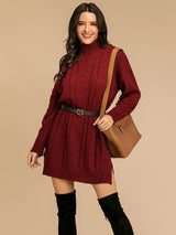 Perfee Slit Turtleneck Long Sleeve Mini Sweater Dress Burgundy 9ee6817e-7f6a-4eb1-8b16-b4ff0c83f417-Max Glownestbest