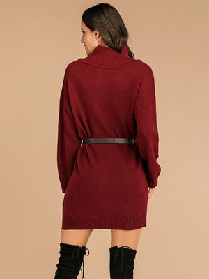 Perfee Slit Turtleneck Long Sleeve Mini Sweater Dress a735f2ba-f714-405b-ae3e-7135b1b83880-Max Glownestbest