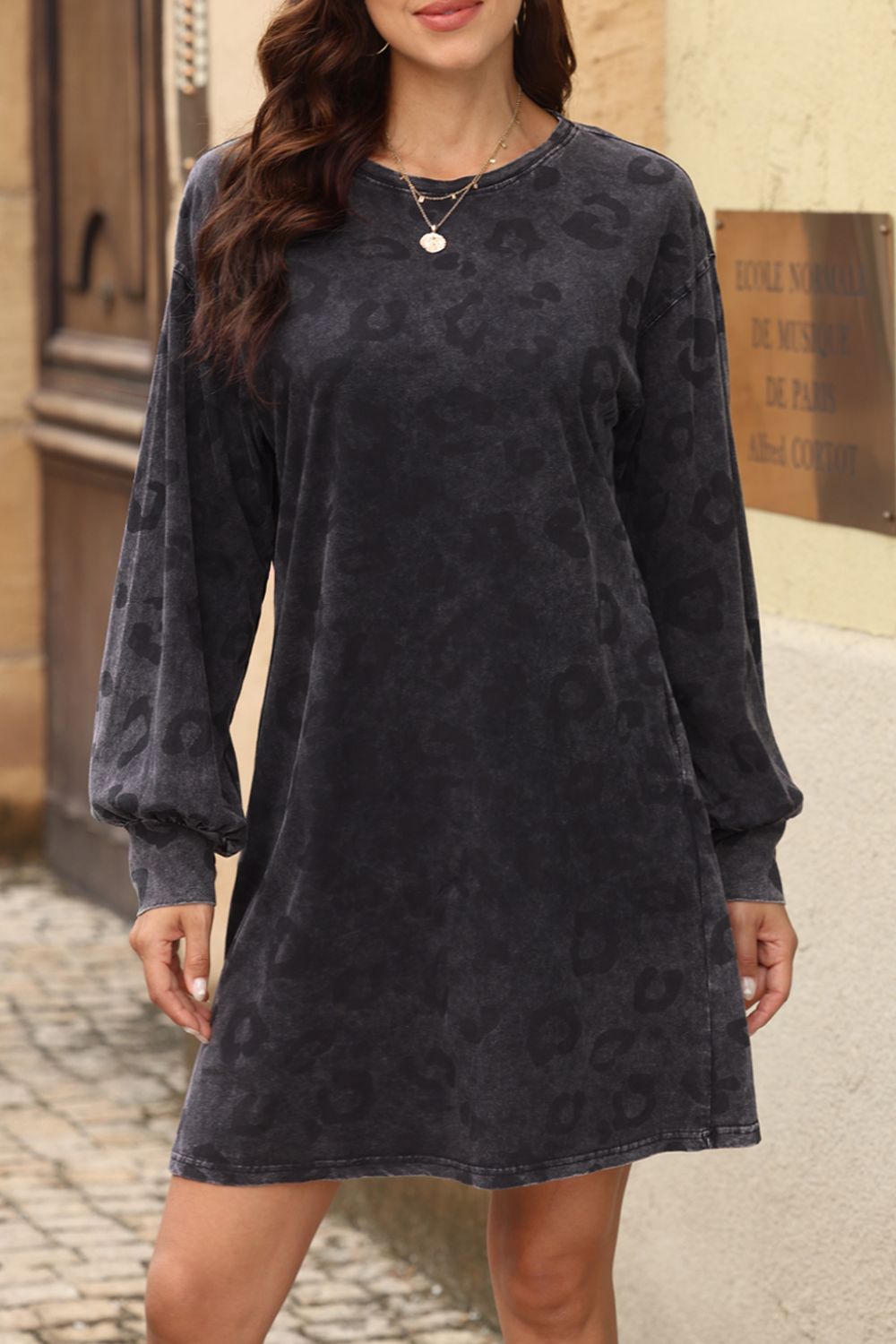 Leopard Round Neck Long Sleeve Dress b133b81b-9bbf-4fe4-8495-9723843ff058-Max Glownestbest