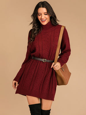 Perfee Slit Turtleneck Long Sleeve Mini Sweater Dress bf2ef3a0-aebb-4295-9fad-b7a0e18d2f33-Max Glownestbest