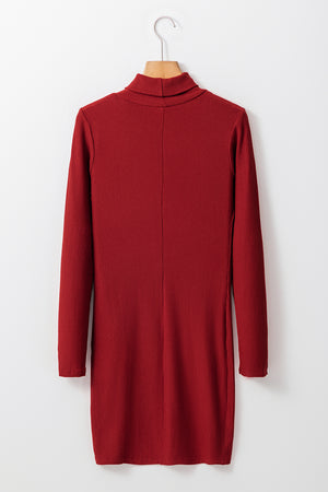 Ribbed Mock Neck Long Sleeve Mini Dress cd9b0326fa714ddab632d53bc0d47fbf-Max Glownestbest