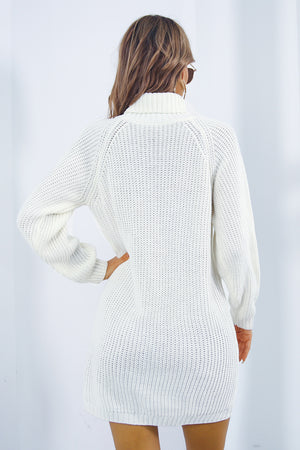 Buttoned Turtleneck Long Sleeve Sweater Dress dc6f1ffad1244b1d9aa53ba3c3325981-Max Glownestbest